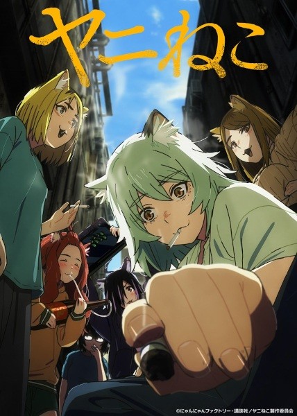 الملصق الرسمي لأنمي Yani Neko مترجم