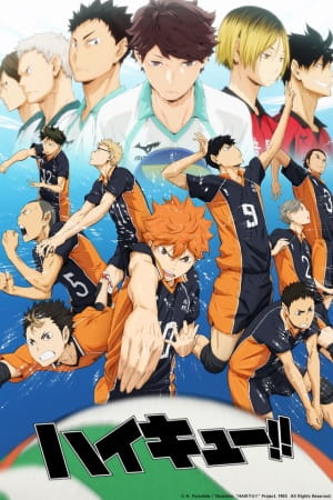الملصق الرسمي لأنمي Haikyuu!! مدبلج